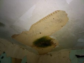 2020-10-03 Erstes Geschoss, ehemaliges Kinderzimmer Nr. 2, mit Schimmelfleck in der Decke