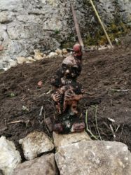 2021-08-19 Der Gartenzwerg schlummerte 8 Jahre lang 20cm unter der Erde