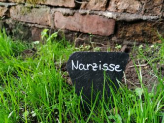 2021-10-06_Zwischendurch wird schon mal gepflanzt.